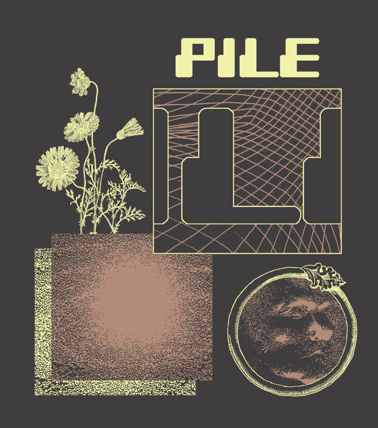 Sunshine Spring 2025 T-shirt (pepper)