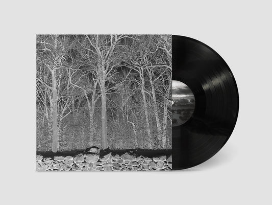Sunshine and Balance Beams LP